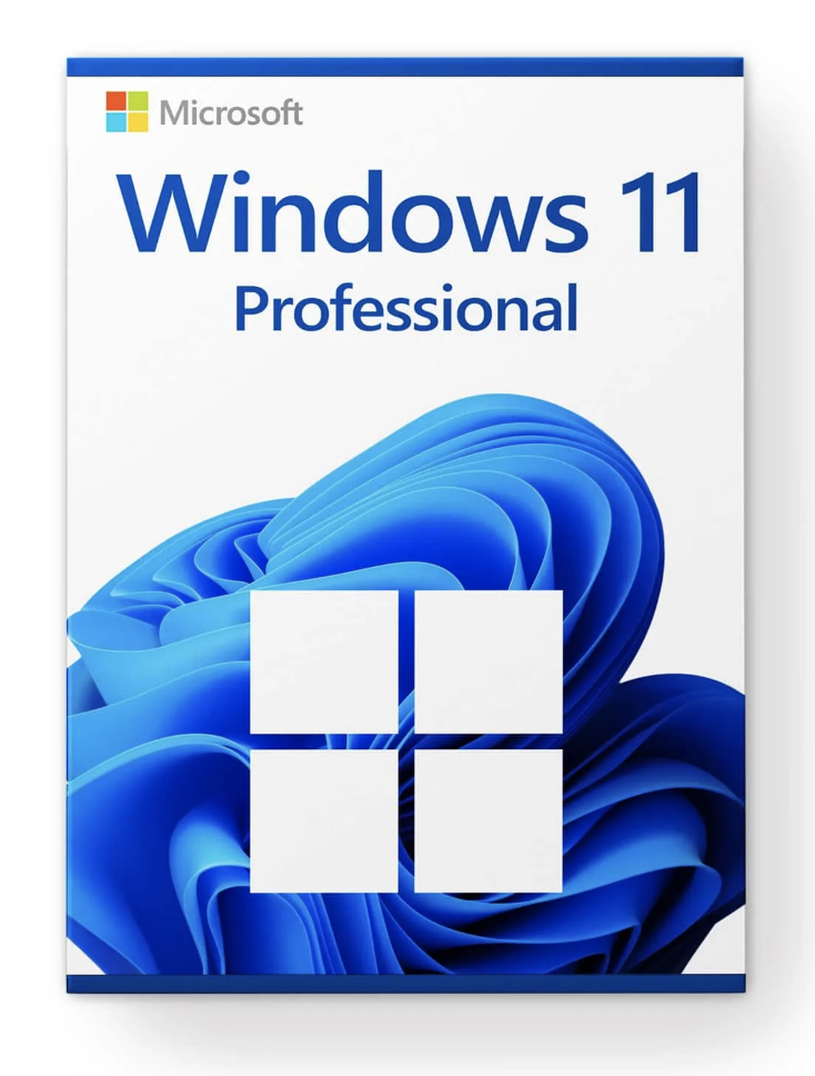 Windows 11 Professional