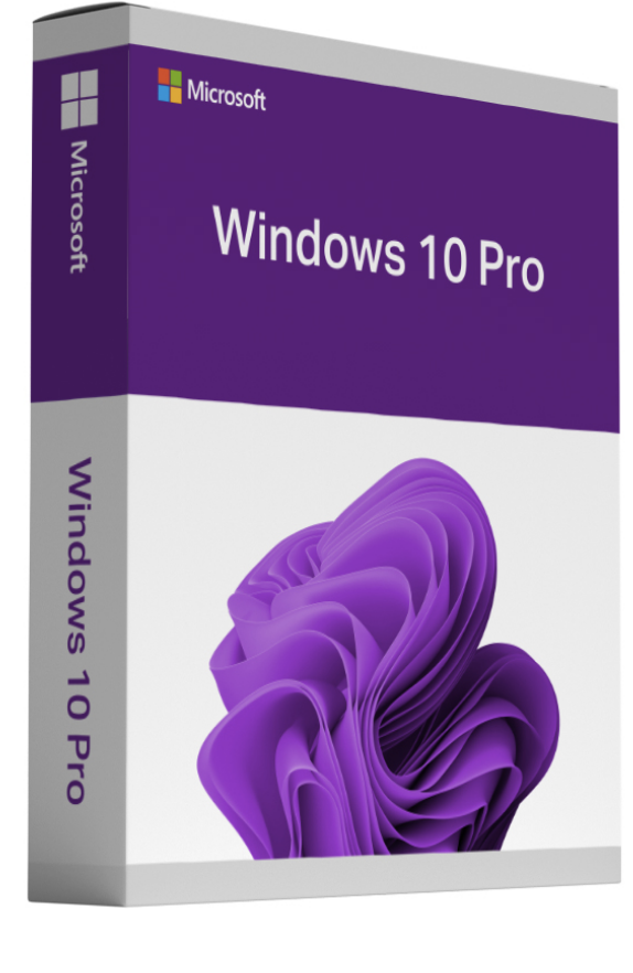 Windows 10 Professional